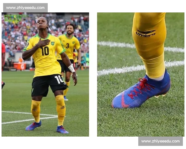 高清足球赛事直播APP下载指南畅享全球赛场精彩即时比分数据分析权威解说 - 副本 (94) - 副本 - 副本 - 副本 - 副本 - 副本 - 副本