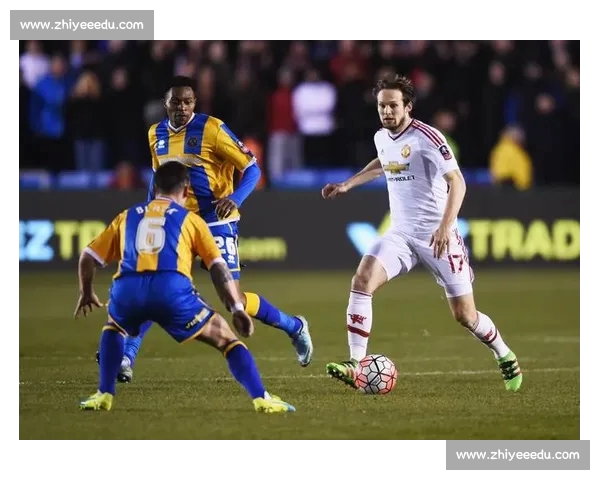 高清足球赛事直播APP下载指南畅享全球赛场精彩即时比分数据分析权威解说 - 副本 - 副本 - 副本 (21) - 副本 - 副本 - 副本